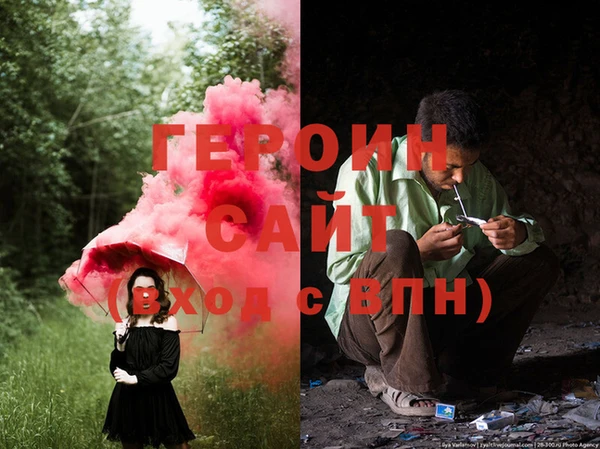 шишки Инта
