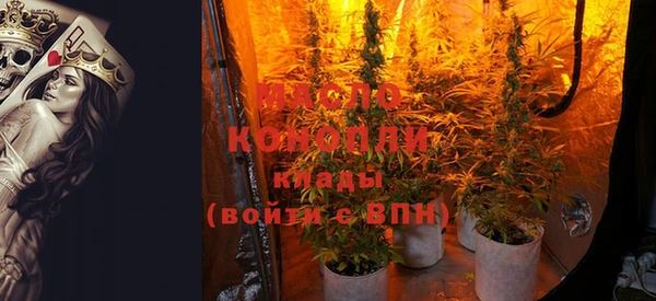 прущие грибы Горно-Алтайск