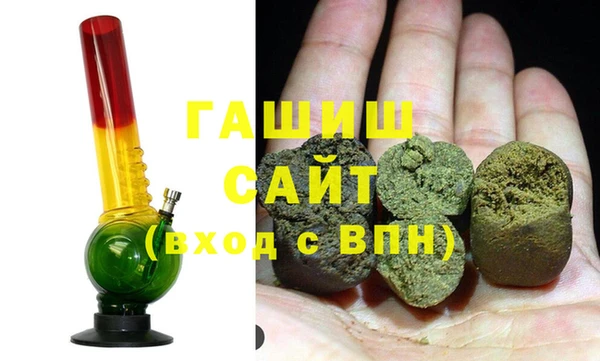 шишки Инта