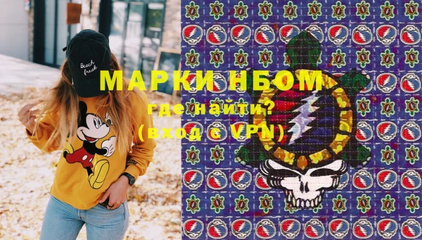 шишки Инта