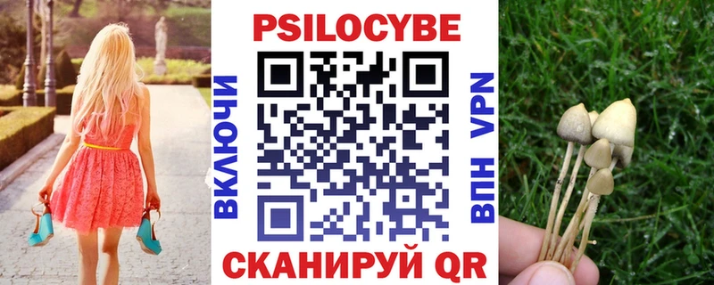 Псилоцибиновые грибы GOLDEN TEACHER  наркотики  Вилюйск 
